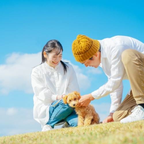 愛犬と健康的な生活を送るために