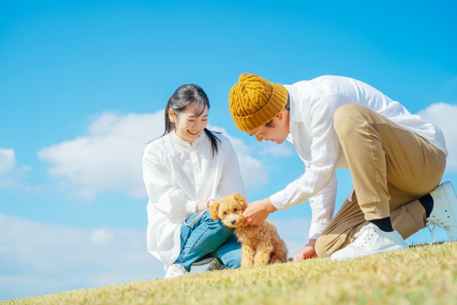 愛犬と健康的な生活を送るために