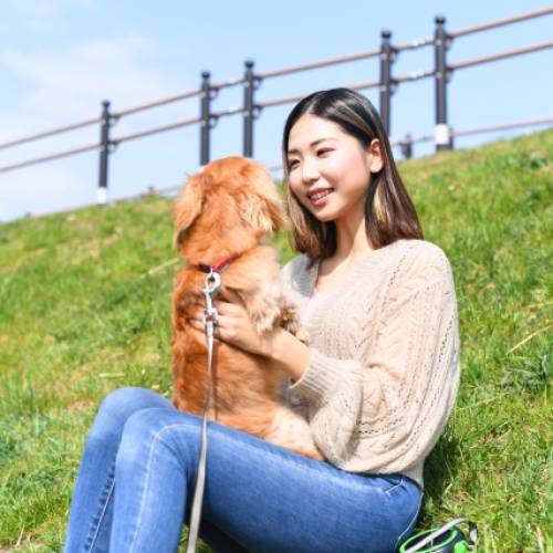 犬と「心が通じる」ための言葉づかい